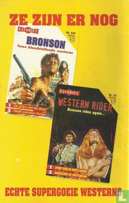Western Rider 35 - Image 2