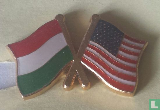 Vlaggen Hongarije-USA