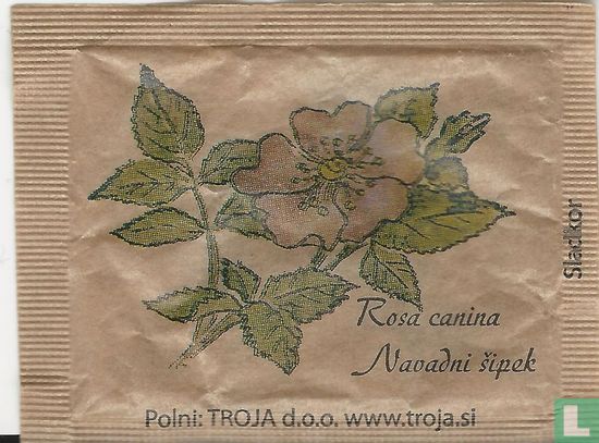 Taraxacum Officinale Rosa canina - Afbeelding 2