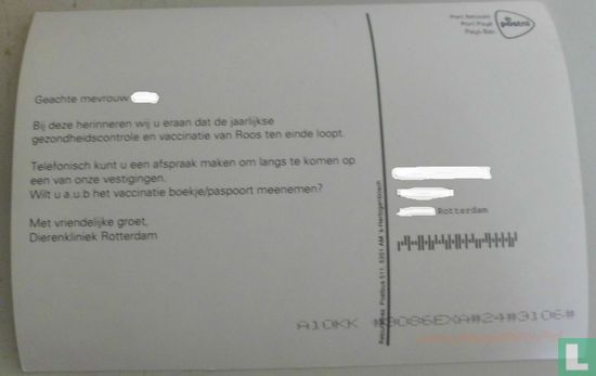 Dierenkliniek Rotterdam - Image 2