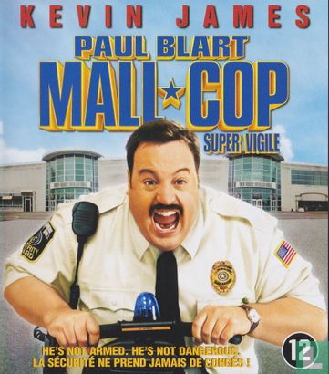 Paul Blart: Mall Cop - Afbeelding 1
