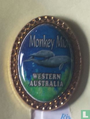 Monkey Mia - Western Australia