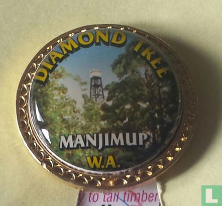 Manjimup - Diamond Tree - W.A.