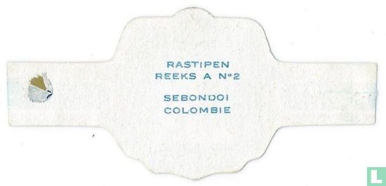Sebondoi Colombie - Image 2