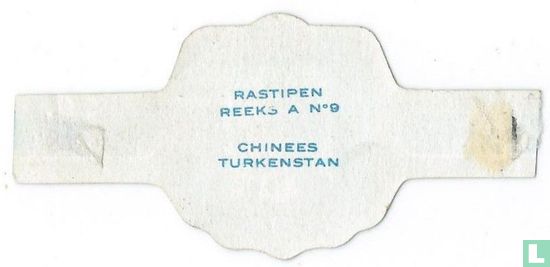 Chinees Turkenstan - Image 2