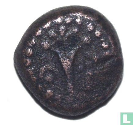 India - onbekend Princely State  AE20  100-400 CE - Afbeelding 1