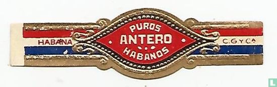 Antero Puros Habanos - Habana - C.G. y Cª - Image 1