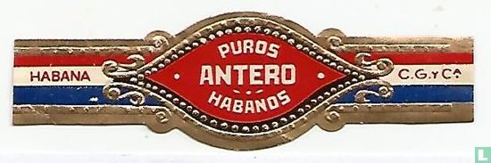 Antero Puros Habanos - Habana - C.G. y Cª - Bild 1
