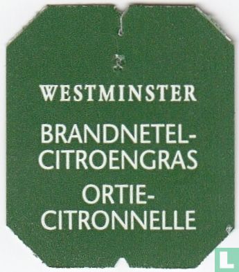 Brandnetel-Citroengras - Afbeelding 3