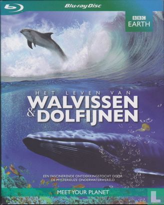 Het leven van Walvissen & Dolfijnen - Afbeelding 1