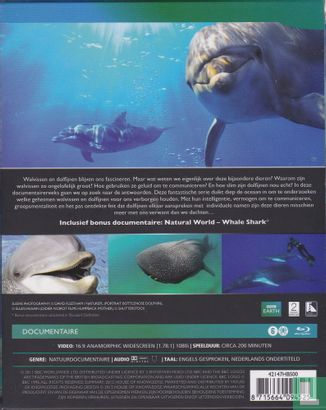Het leven van Walvissen & Dolfijnen - Image 2