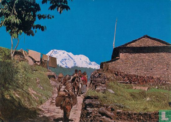 Highland Mule Track, Nepal