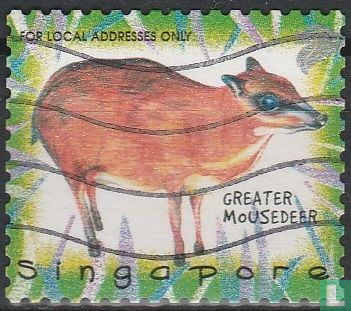 25 year Singapore Zoo