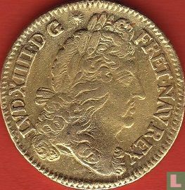 France 1 louis d'or 1690 (G) - Image 2