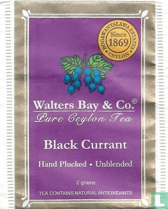 Black Currant - Image 1