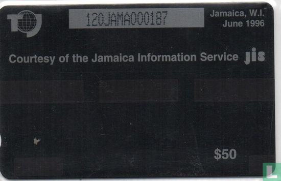 The Jamaica National Fruit - Afbeelding 2