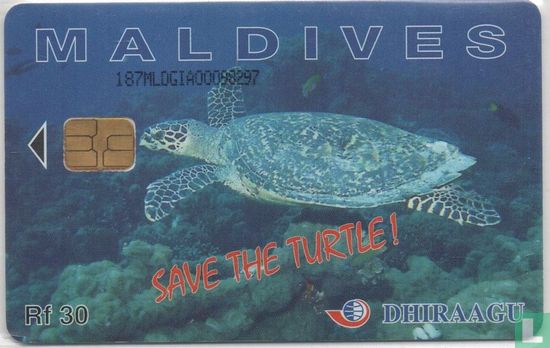 Save the Turtle  - Afbeelding 1