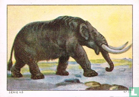 Mastodonte américain - Afbeelding 1
