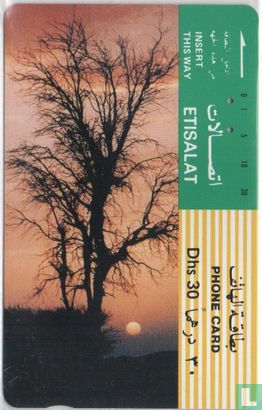 Tree At Sunset - Bild 1