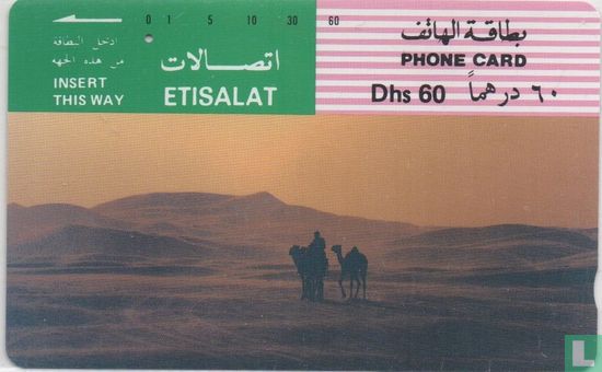 Camels in Desert - Afbeelding 1