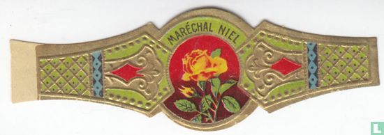 Maréchal Niel  - Afbeelding 1