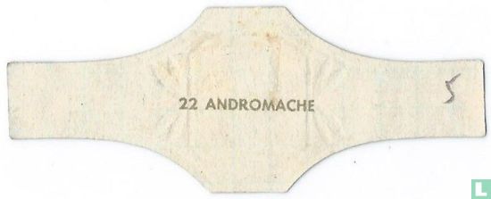 Andromache - Afbeelding 2