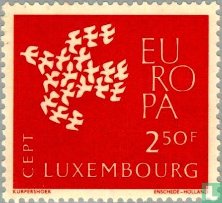 Europa – Pigeons en vol 