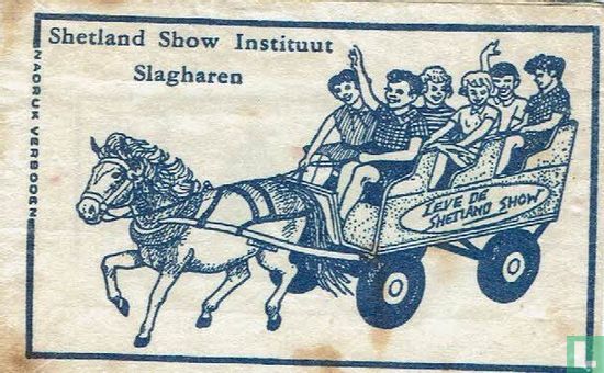 Shetland Show Instituut Slagharen - Afbeelding 1