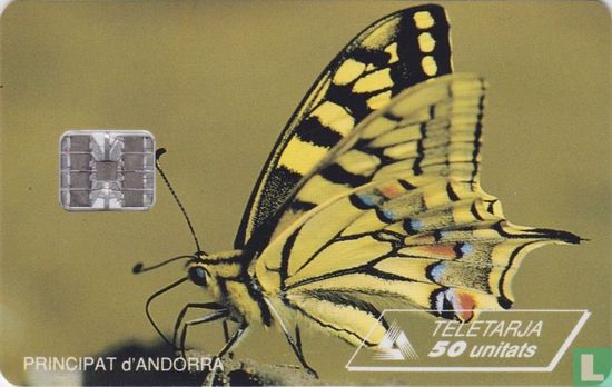 Swallowtail butterfly  - Afbeelding 1