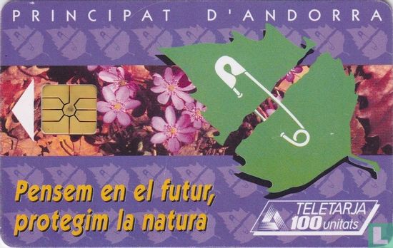 1995 Any Europeu per a la conservació de la natura - Image 1