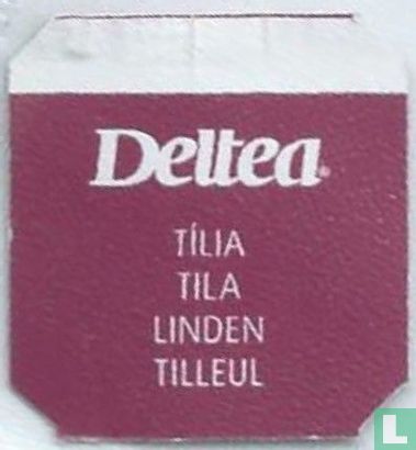 Tilia Tila Linden Tilleul - Bild 2