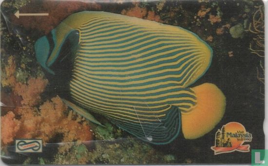Stripe Fish - Afbeelding 1