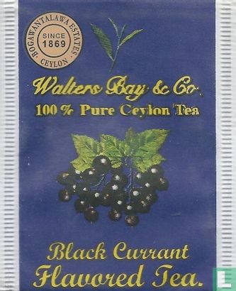 Black Currant  - Image 1