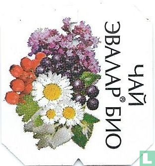 Evalar Bio Tea - Image 3
