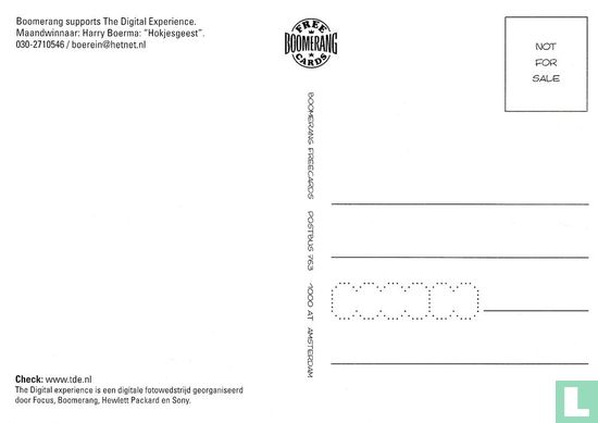 B003417 - The Digital Experience- Harry Boerma ´Hokjesgeest´ - Afbeelding 2