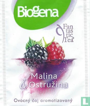 Malina & Ostruzina - Afbeelding 1