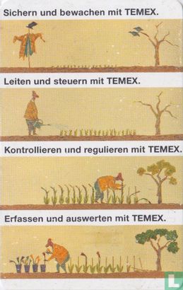 TEMEX - Bild 2