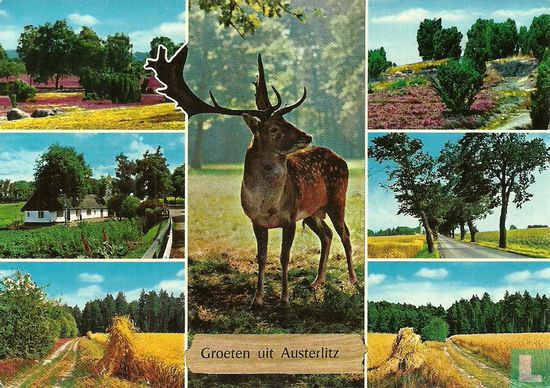 Groeten uit Austerlitz