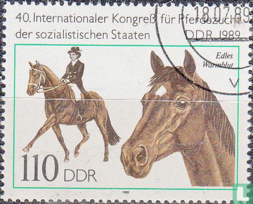 Horse breeding - Image 1