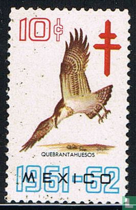 Tuberculose Mexico Vogel