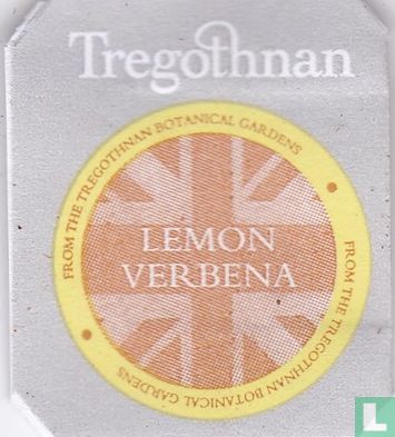 Lemon Verbena - Bild 3