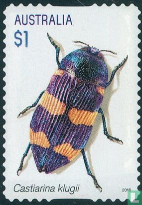 Prachtkevers