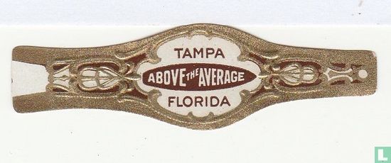 Tampa Above the Average Florida - Image 1