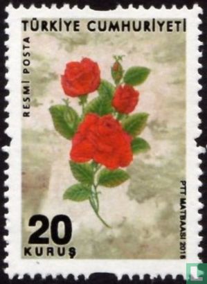 roses