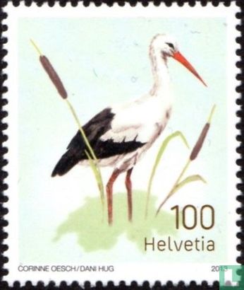 Return of the Stork in Switzerland