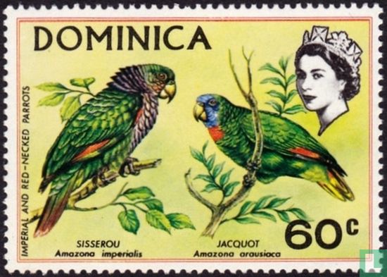 Imperial Amazon and Red-necked Amazon