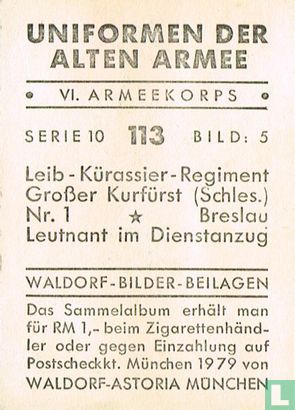 Leib-Kürassier-Regiment Großer Kurfürst (Schles.) Nr. 1 * Breslau Leutnant im Dienstanzug - Afbeelding 2