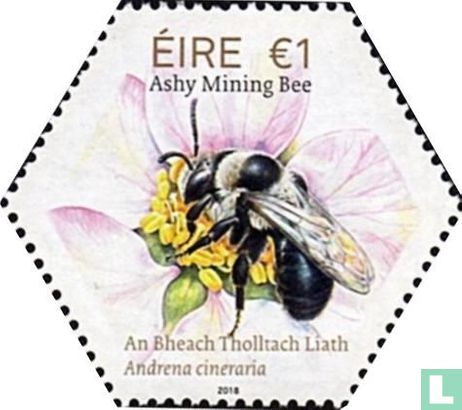 irische einheimische Bienen