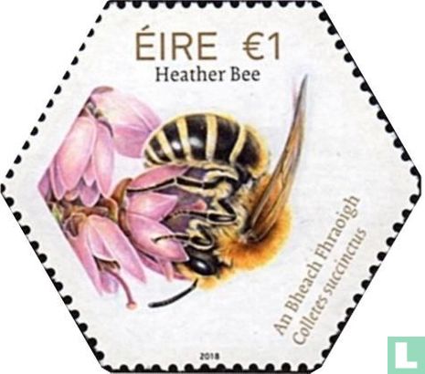 Ierse inheemse bijen