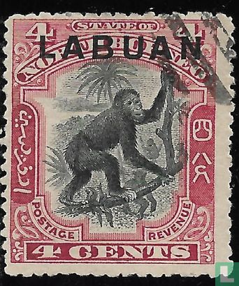 Orang-outan de Bornéo